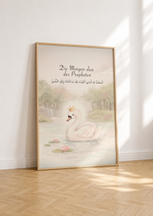 Morgen Dua - Schwan